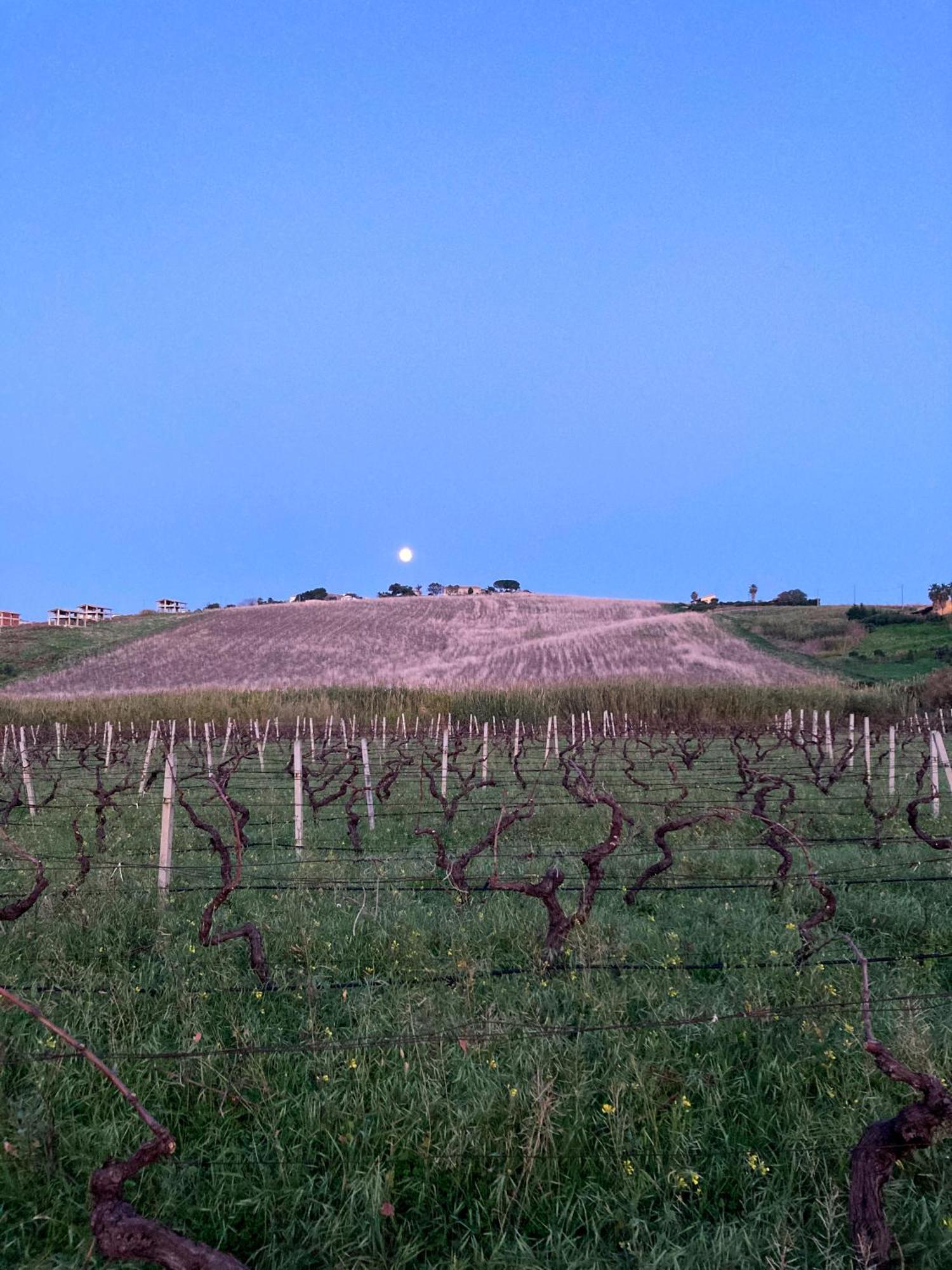 בלסטראטה Fattoria Manostalla Villa Chiarelli מראה חיצוני תמונה